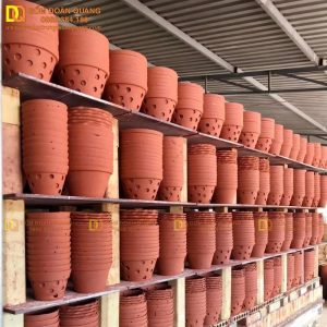 Chậu trồng lan gốm sứ